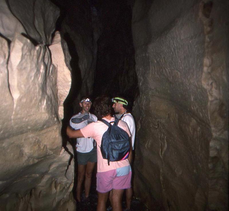 WT 0200 036-01 New Zealand.jpg